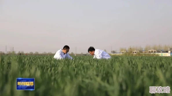 2025永恒手游商城系统功能全新分类及前沿玩法深度介绍 2025永恒手游商城系统功能全新分类及前沿玩法深度介绍